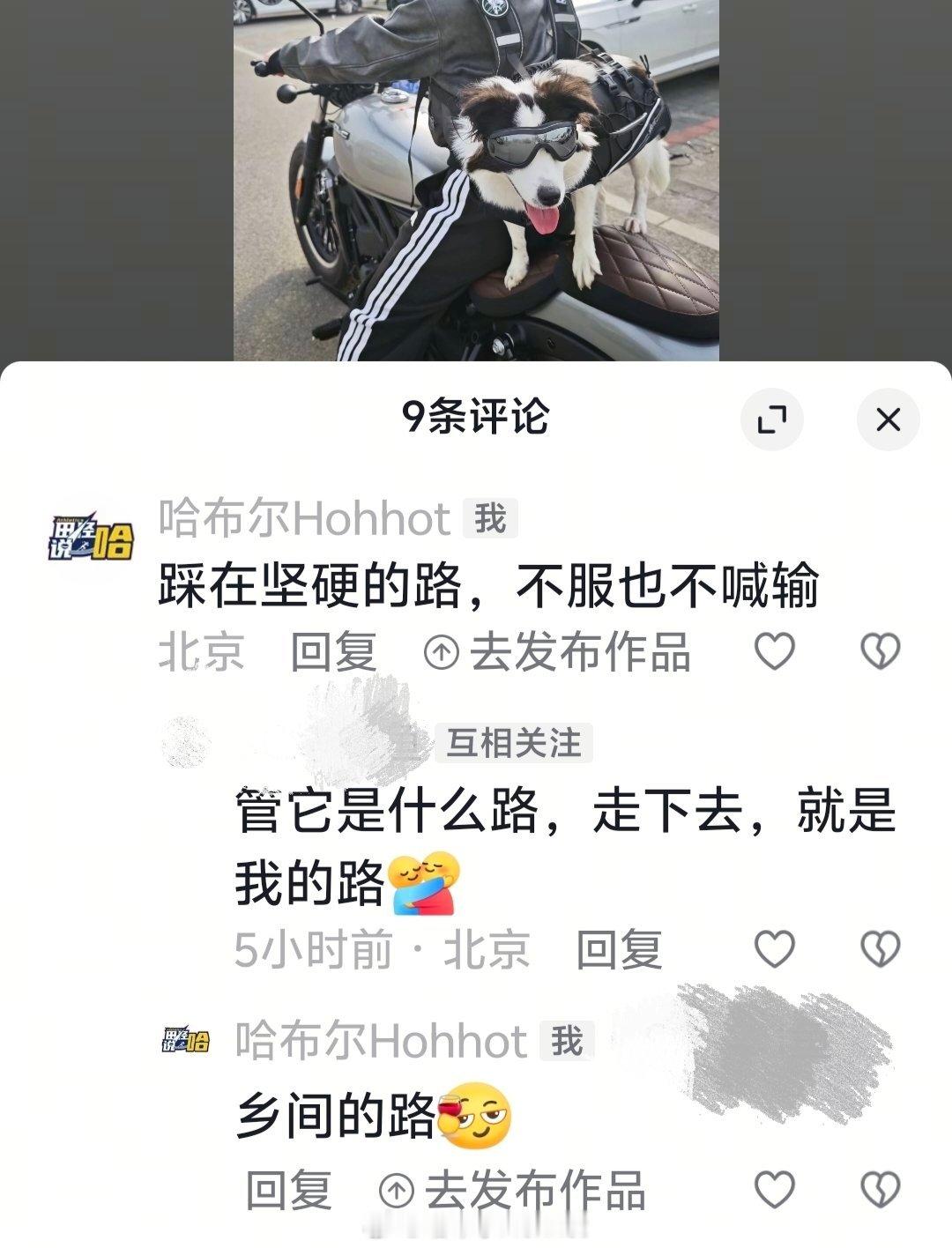 当好朋友跟我说她是周杰伦粉丝周杰伦