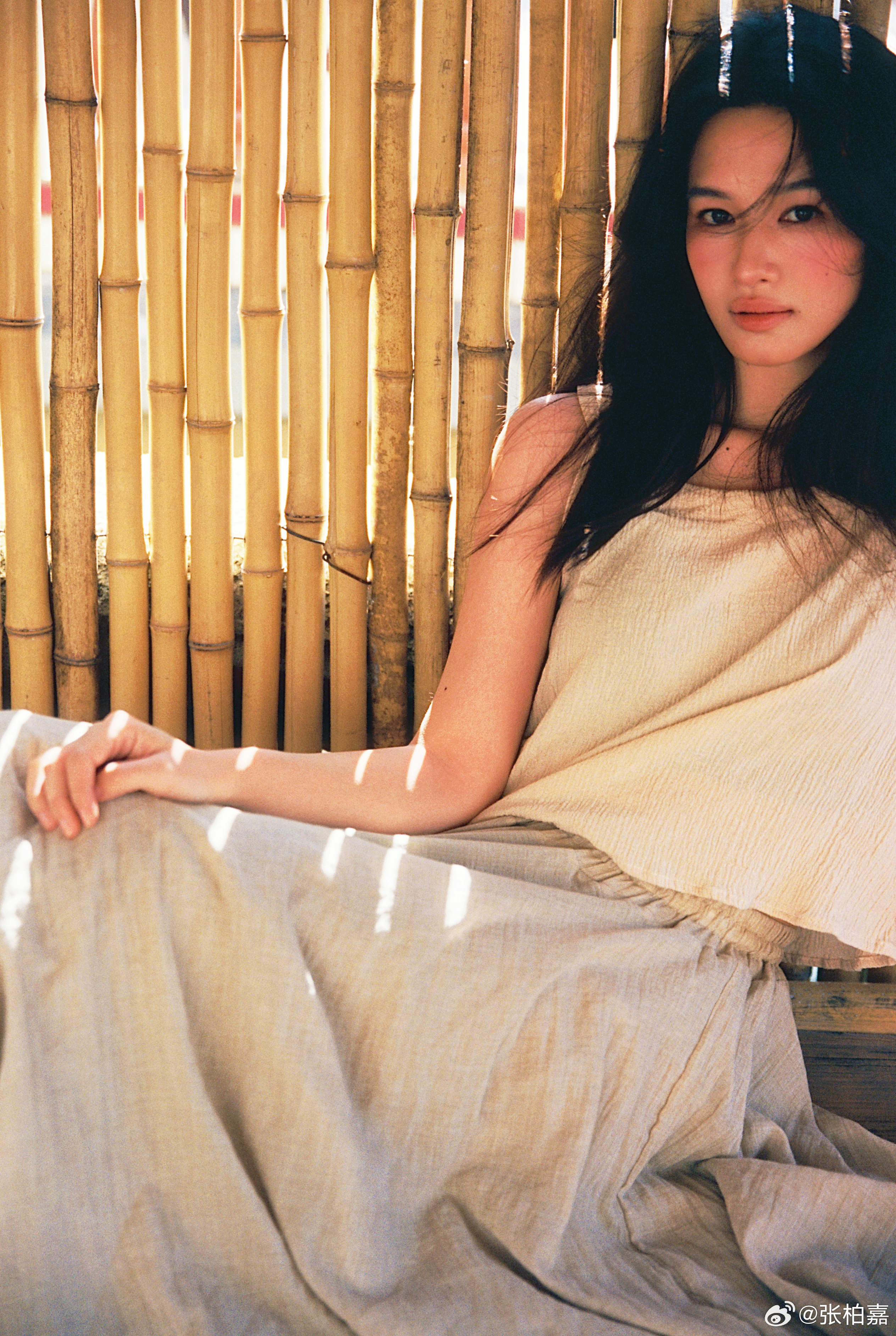 最近拍了拍胶片🎞️把春天拍给你看