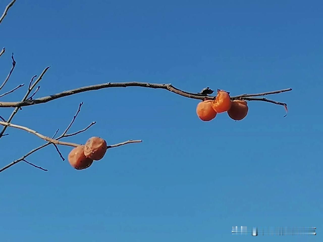 写作可以延年益寿，你信吗？