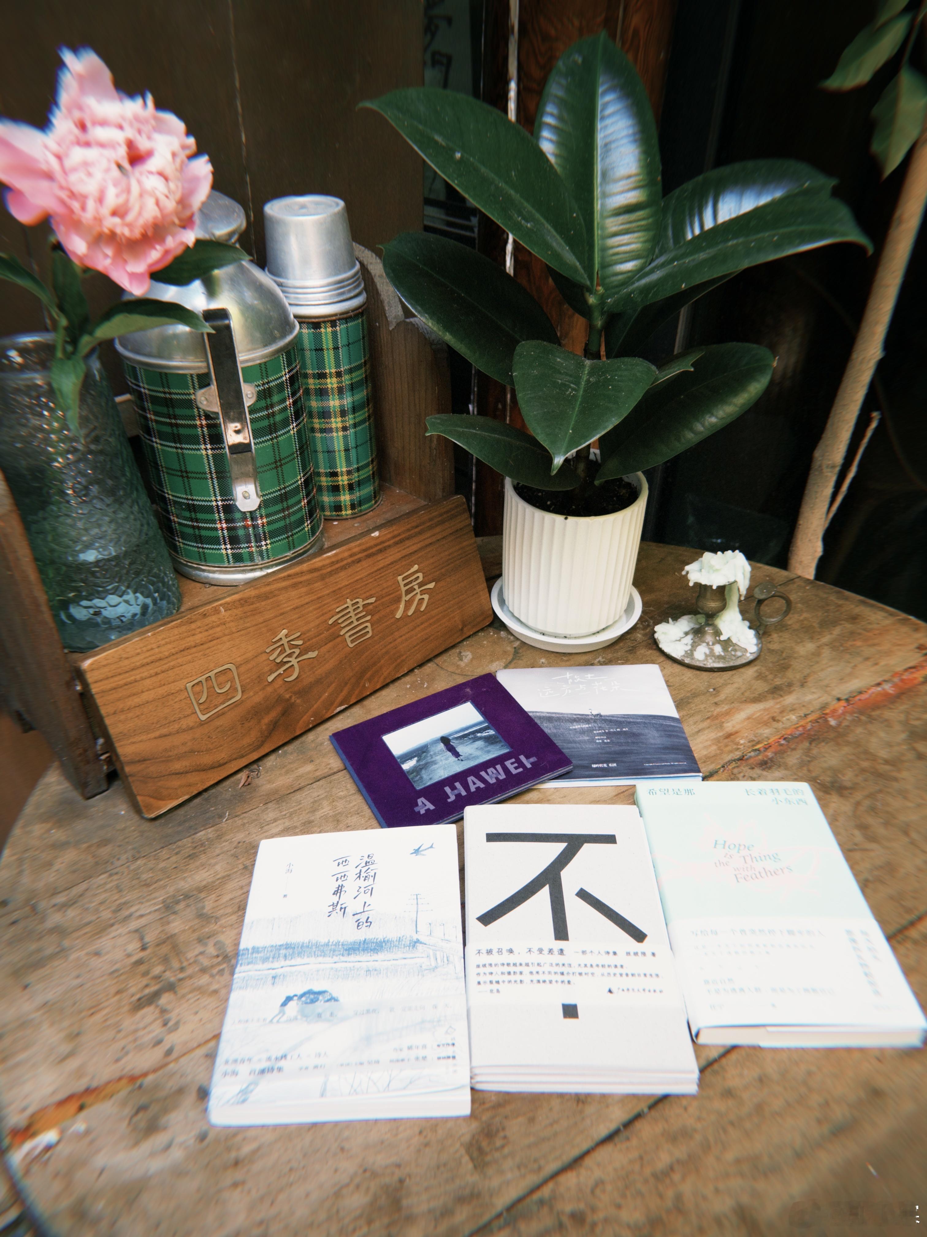 五月最后几天的明媚天气，跟着朋友们的作品读诗观鸟唱歌～恭喜都开花结果～任宁《希望