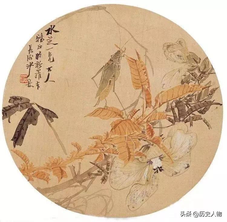 “水芝一瞥，人间芳菲”🌸🐝🌿