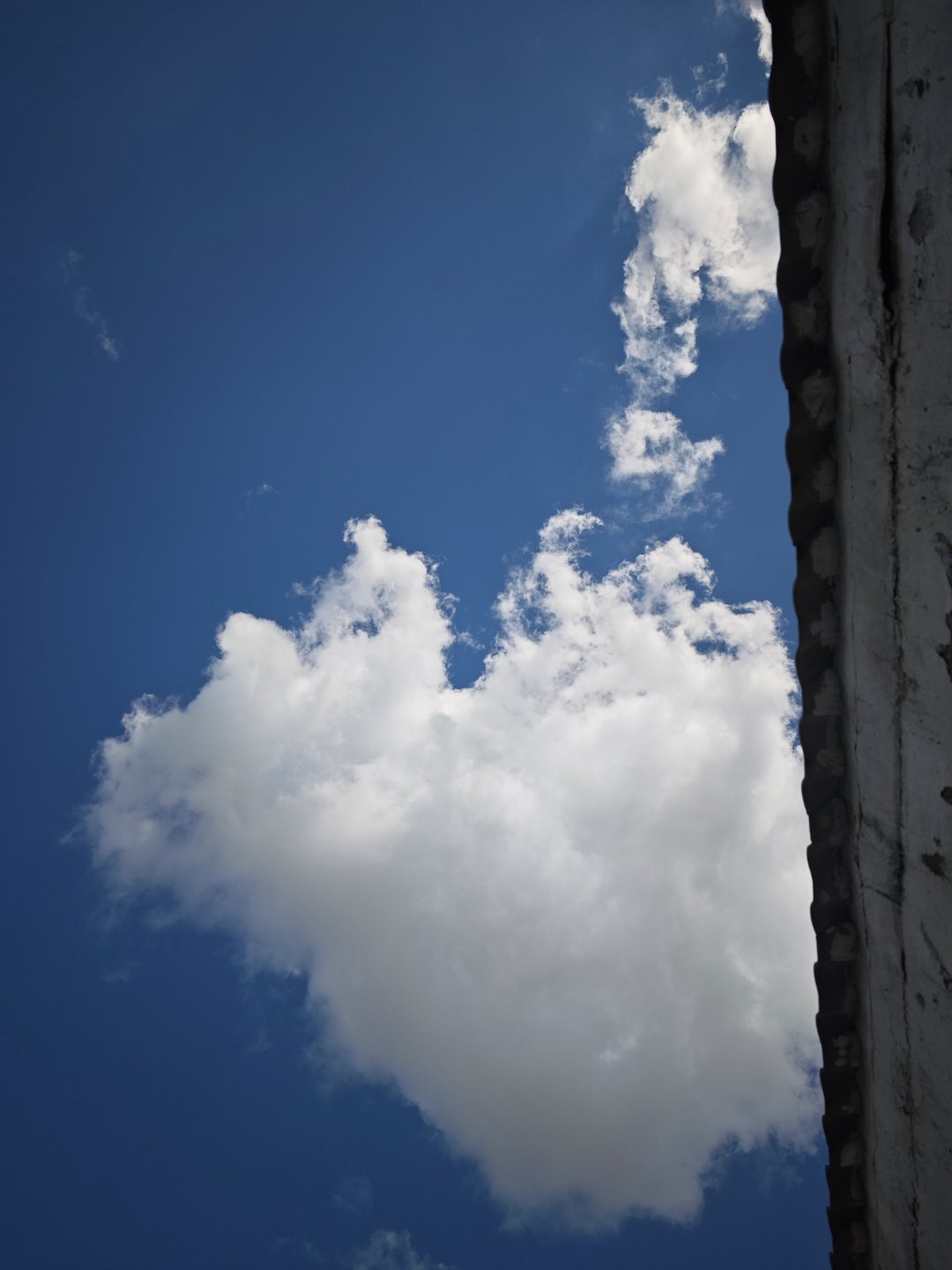 躺着看看天空，我好想变成一只鹰。在天空中飞来飞去，一会飞成一字，一会飞成人字，怎