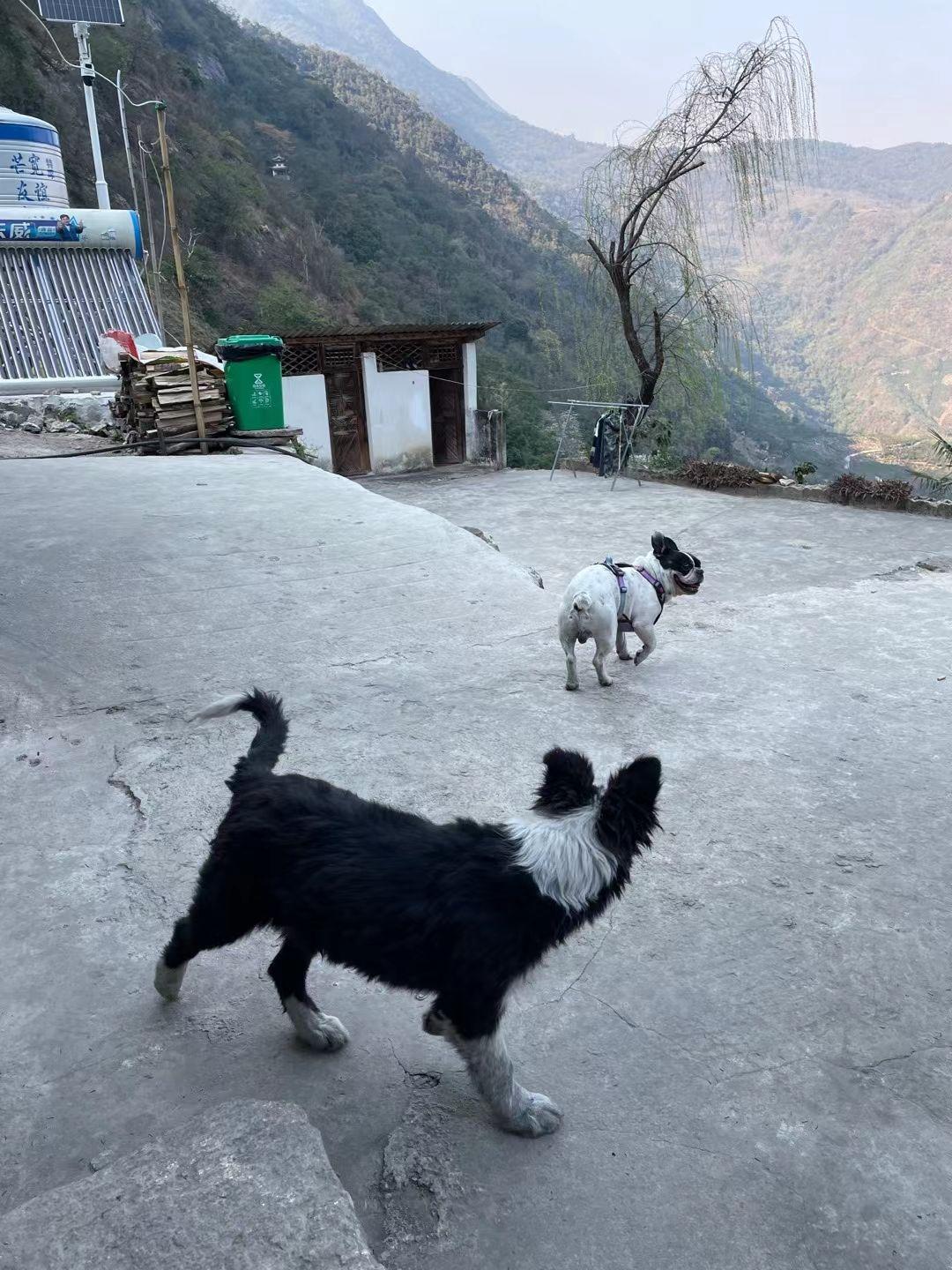 世界上凡是人群聚集的地方谈论的话题无外乎三个：拐弯抹角的炫耀自己、添油加醋的贬低