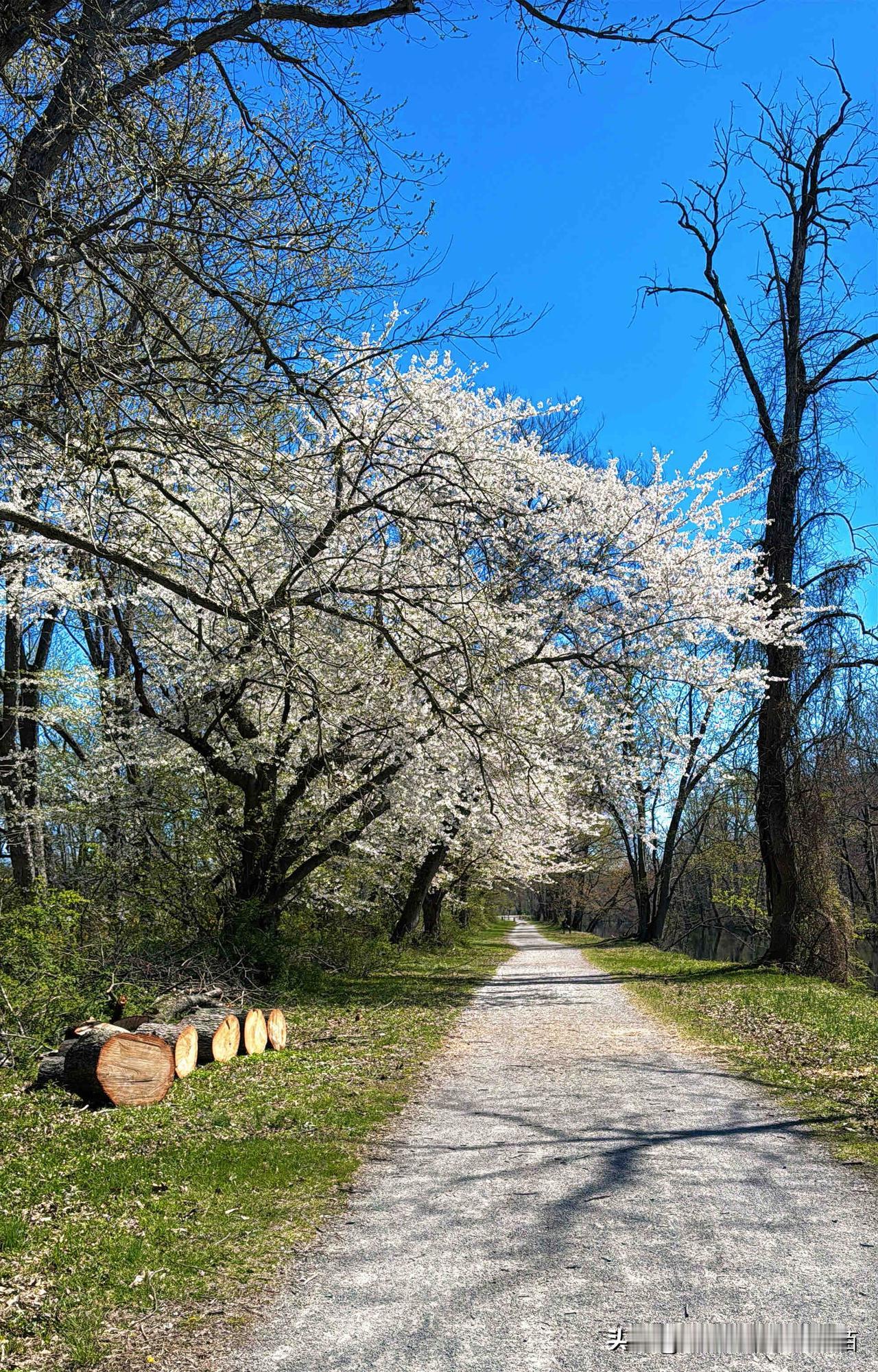 人生中有些简单的道理，在年轻的时侯根本听不进去，等到了能夠听进去的时侯，已是过来