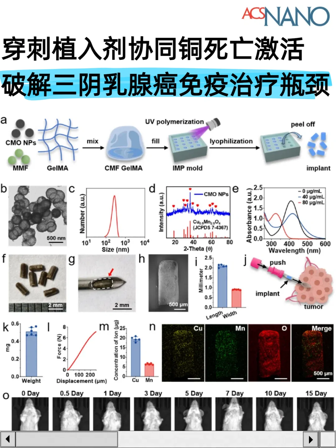 植入剂协同铜死亡/STING激活，实现免疫治疗