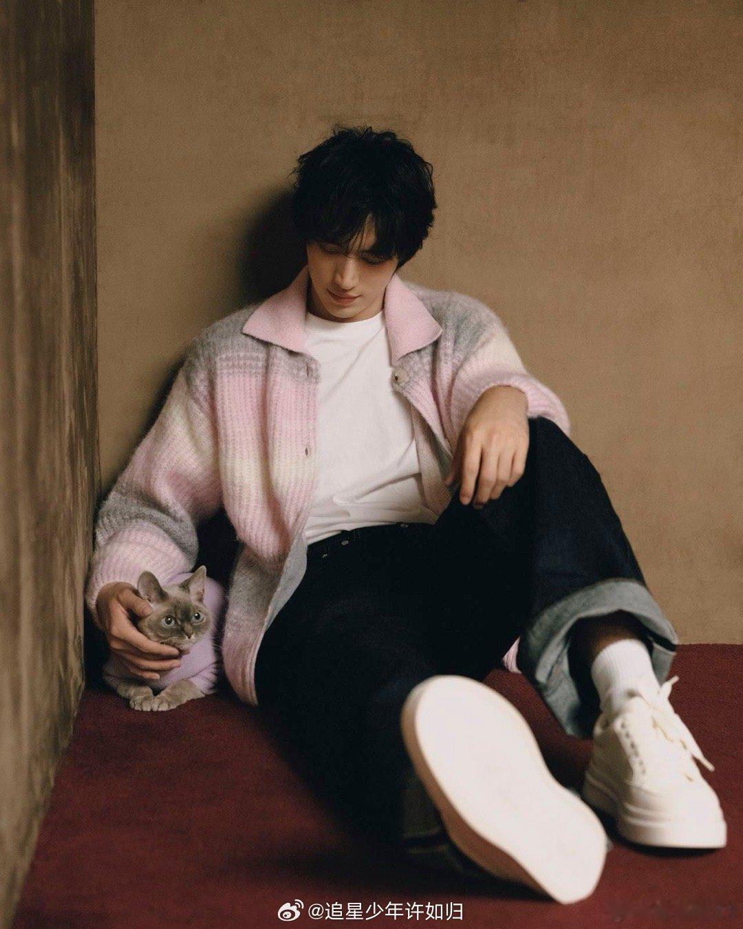 许魏洲完全是猫系啊 许魏洲和他的小猫，共同演绎了什么叫“优雅本雅，傲娇本娇”。同