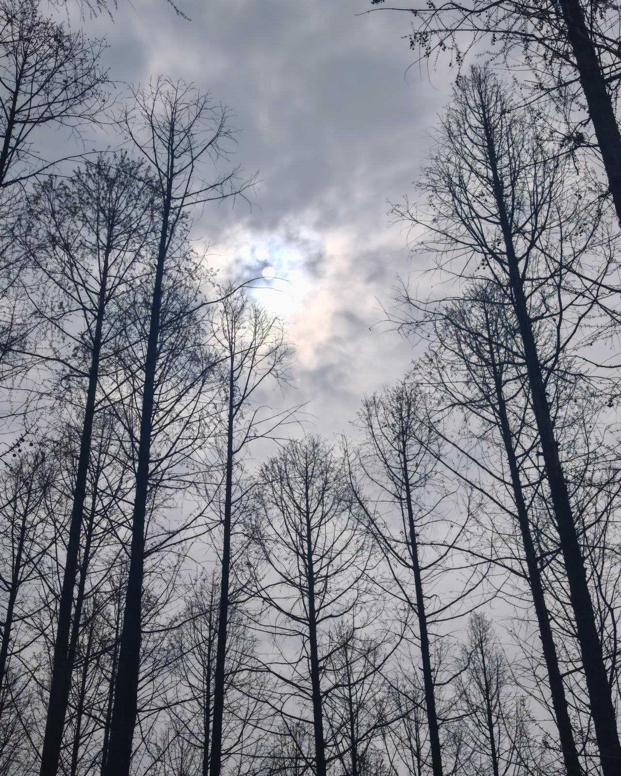 市民休闲好去处，树多环境好