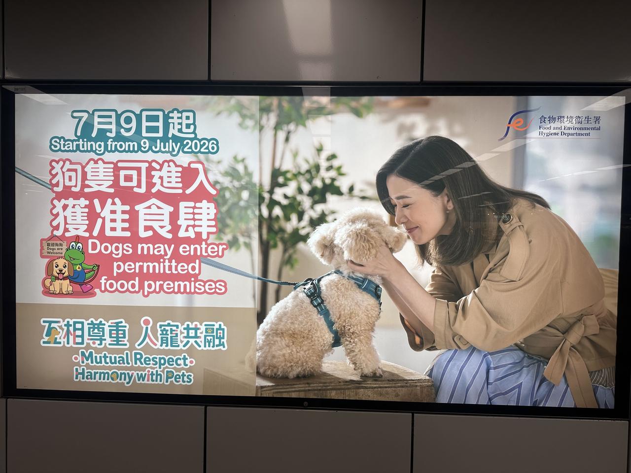 狗拉动消费
现在，香港餐饮业消费不景气，有人想出一个办法，用狗来拉动消费。
事情