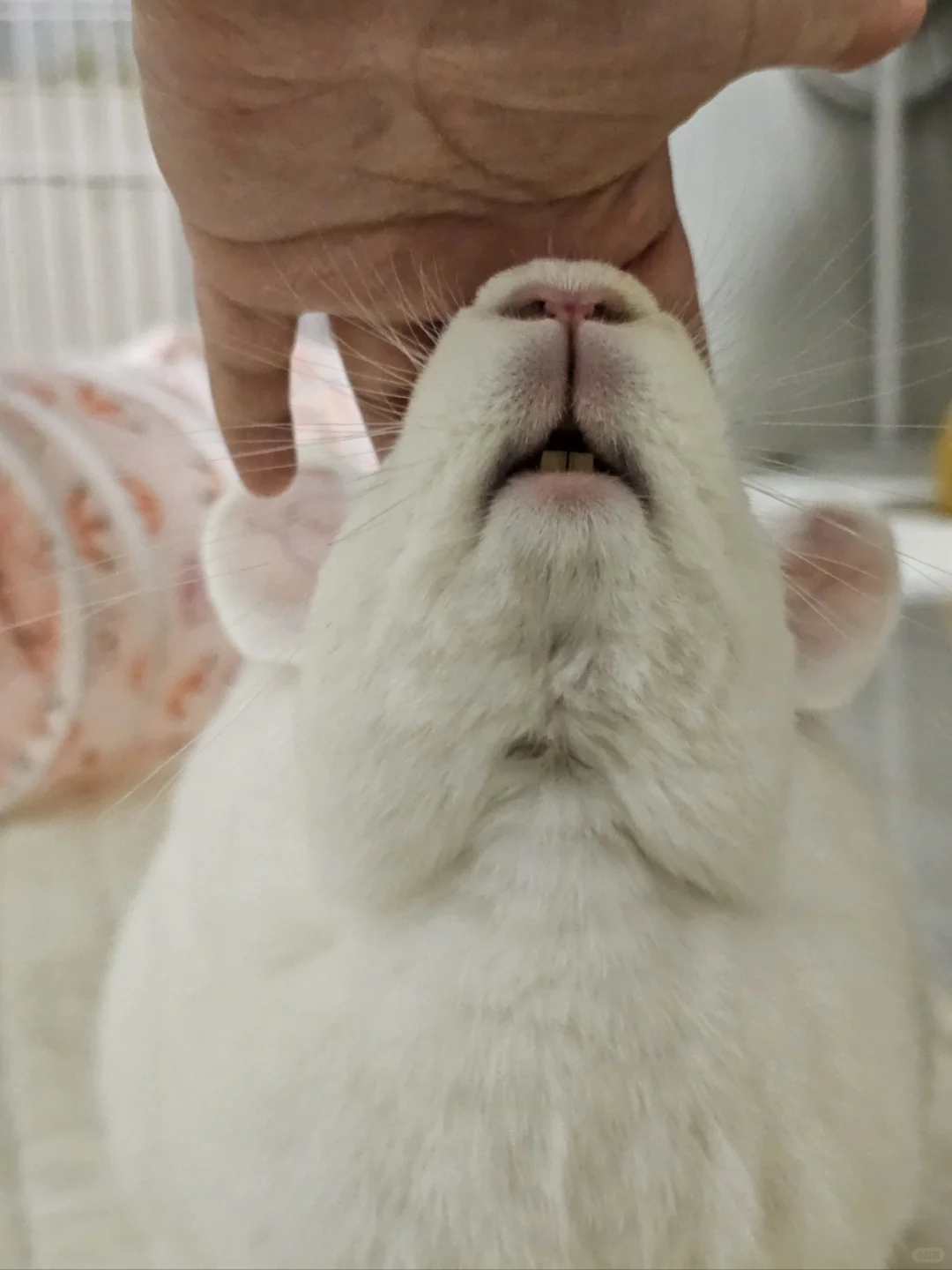 年纪大了心无波澜