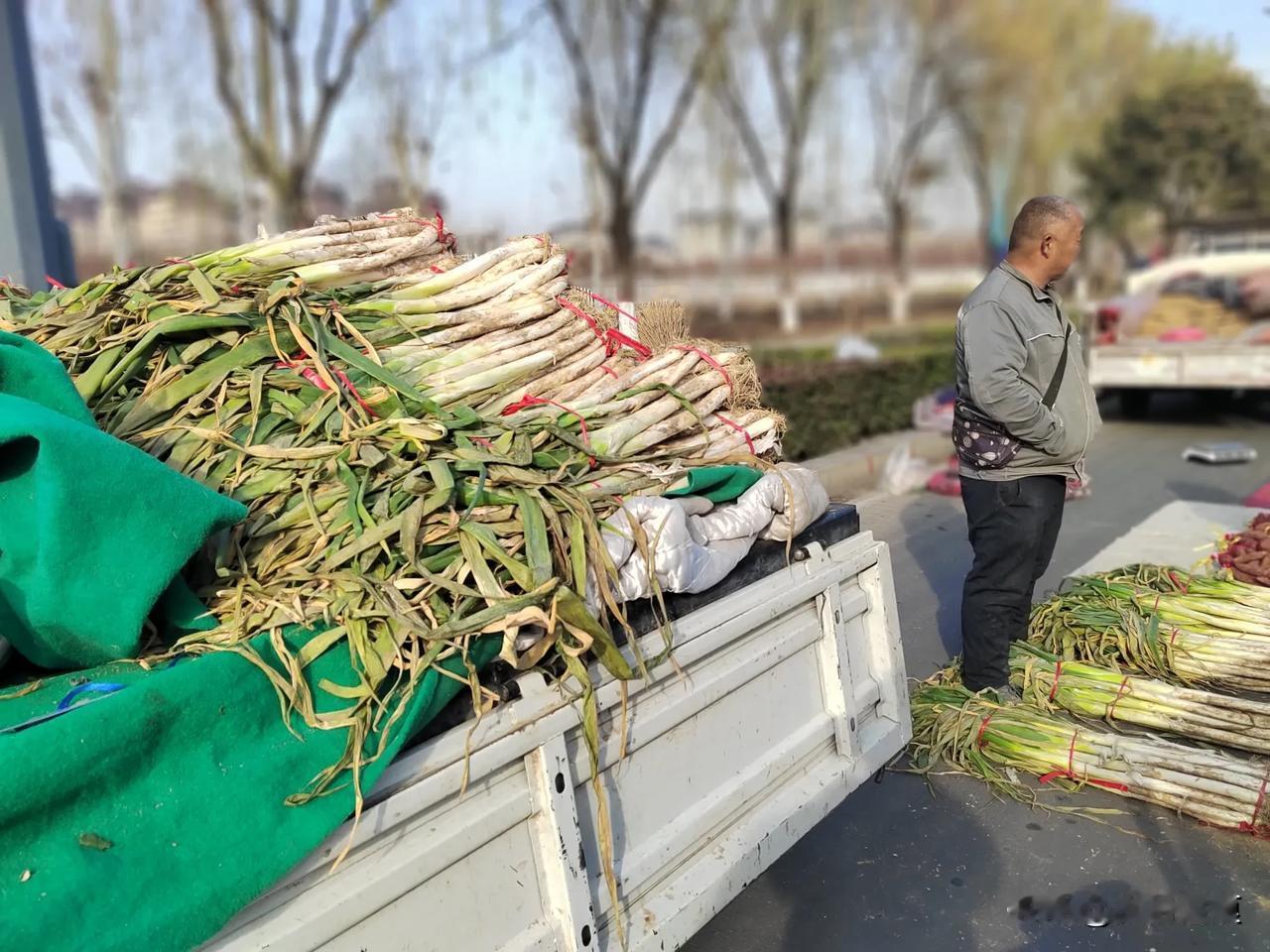 今天卖葱的又教了一招，平常好多人都在买葱之后把葱头消掉，但是这个卖葱的说不能这样