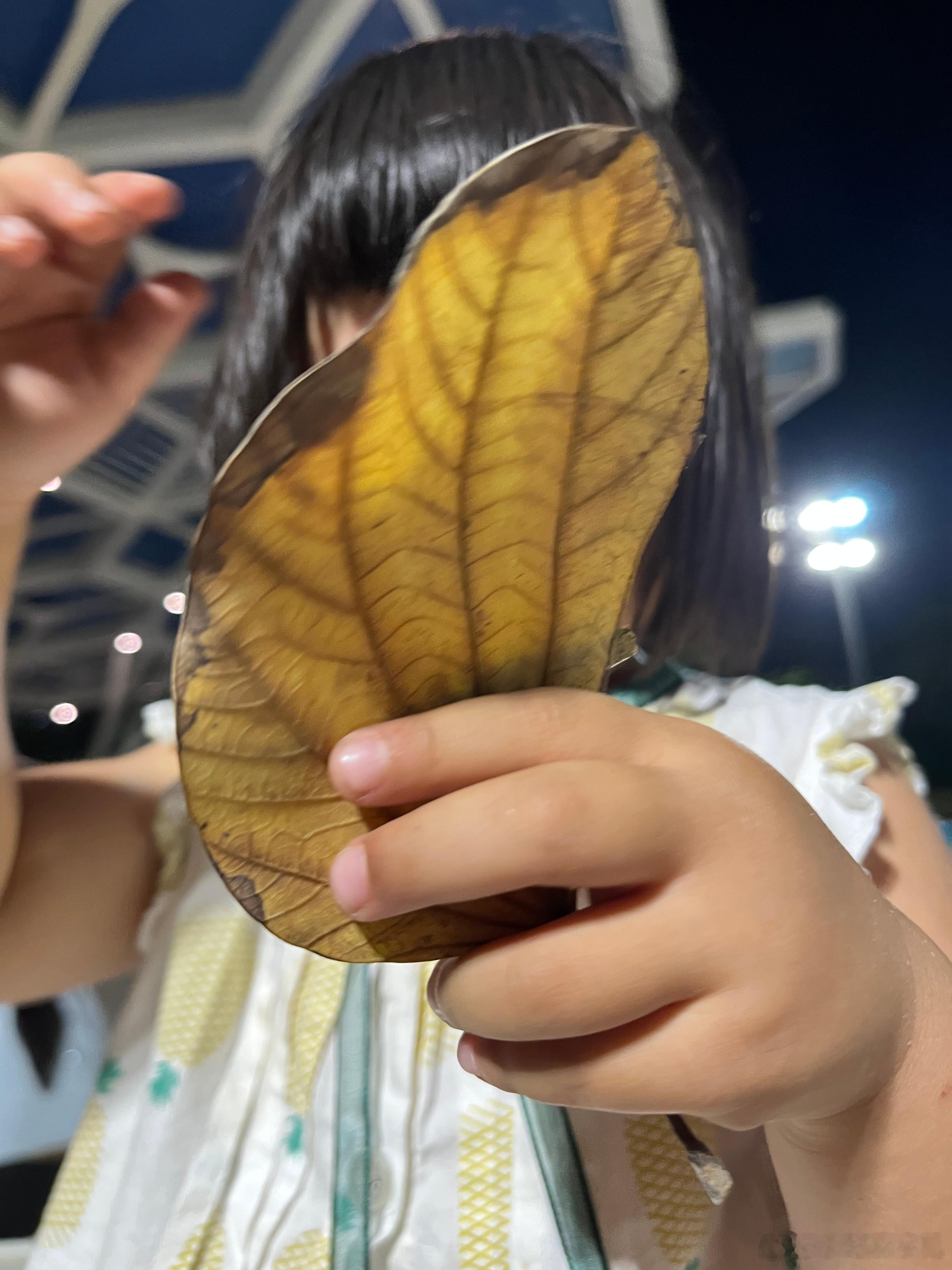 玩到不肯回家，捡了两片叶子，还有一个棍子，做一个花蝴蝶，开心得眼睛眯起来谢娜直播