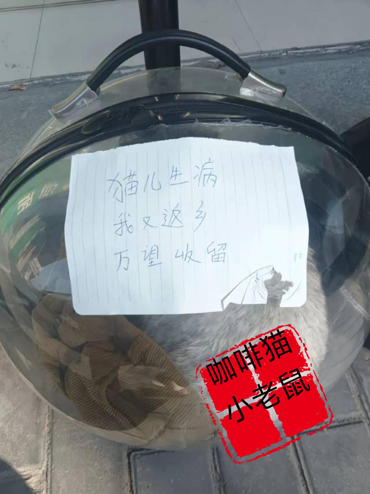 2026年4月8日早晨7点左右，在海南街头的某个诊所门口，竟然发生了一件令所有人