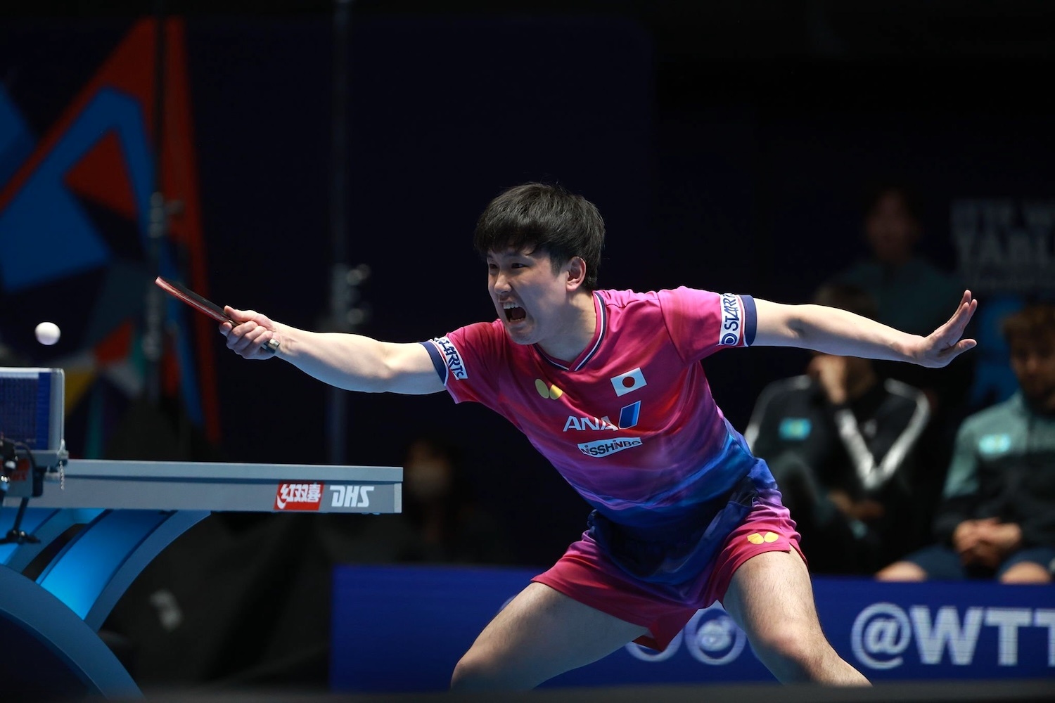 张本智和张本智和2026年伦敦世乒赛 男团R16图片📷cr.ITTF 