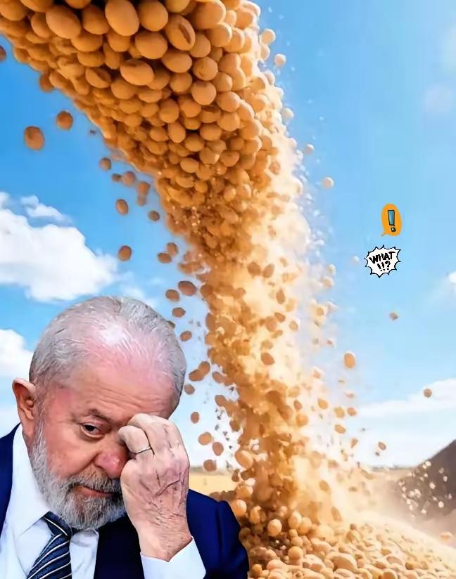 一夜之间，巴西沉默了。
巴西大豆价格攀升至650美元/吨，这让巴西大豆商欣喜不已