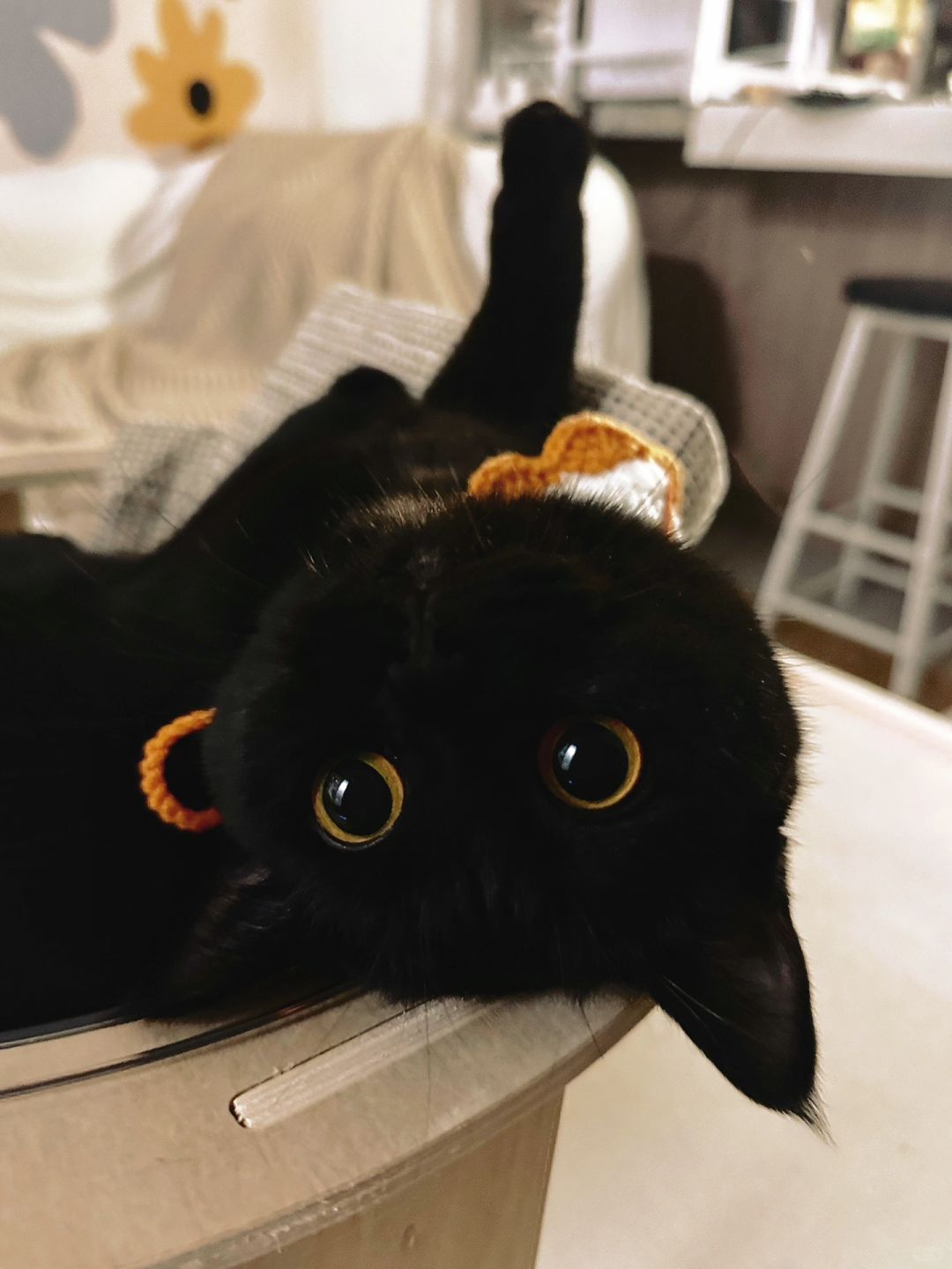 打完疫苗可是需要亲亲来补偿的！