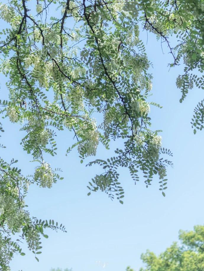 在浩渺的人生长河中，大多数人仿佛都是那随波逐流的一片叶子，被命运的洪流裹挟着前进