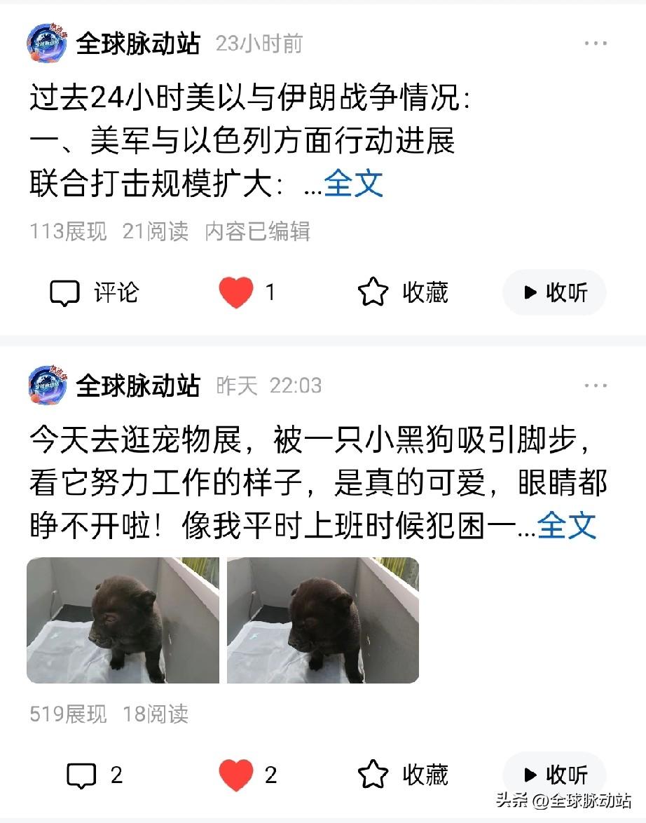 自我反省，面壁思过！
最近几天发的微头条，效果很不理想，不知道是不是动态内容过于