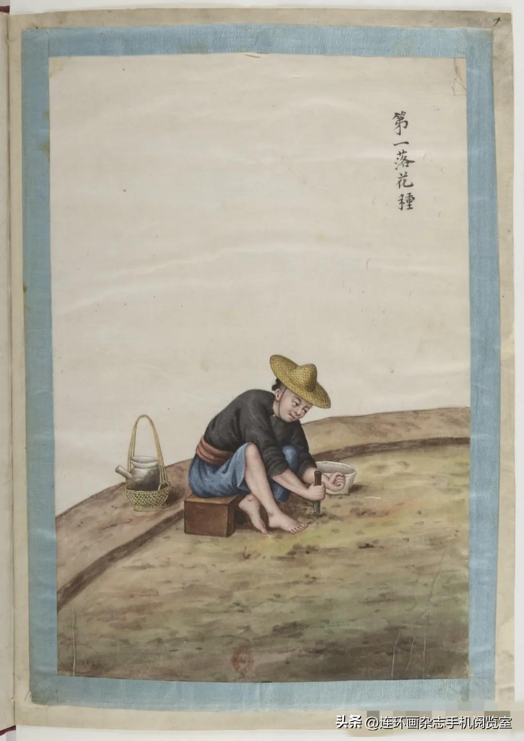 《通草画.棉布》拾页