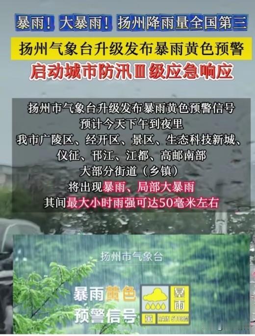 谁能想到台风“白海豚”拐弯发力，直接把扬州降雨量冲到全国第三，气象台火速升级暴雨
