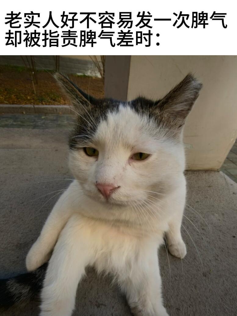 好委屈 