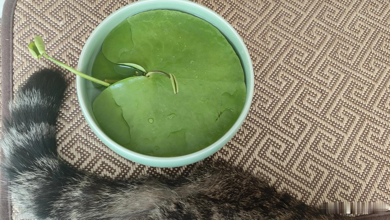 什么是科学？什么又是科学方法？
读1遍2遍10遍8遍很难懂。
除了自己看，再去听