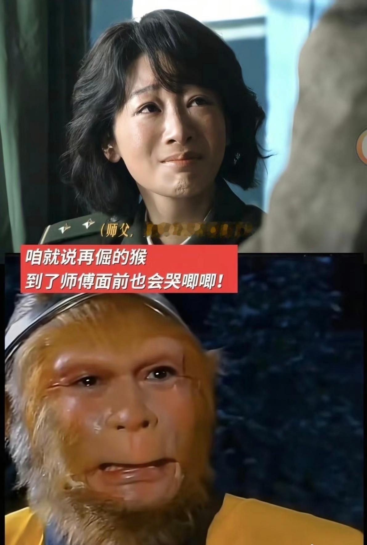 杨紫失焦眼神戏可惜你不看生命树，不知道这些梗这些图有多搞笑[偷笑]，我们树迷的快