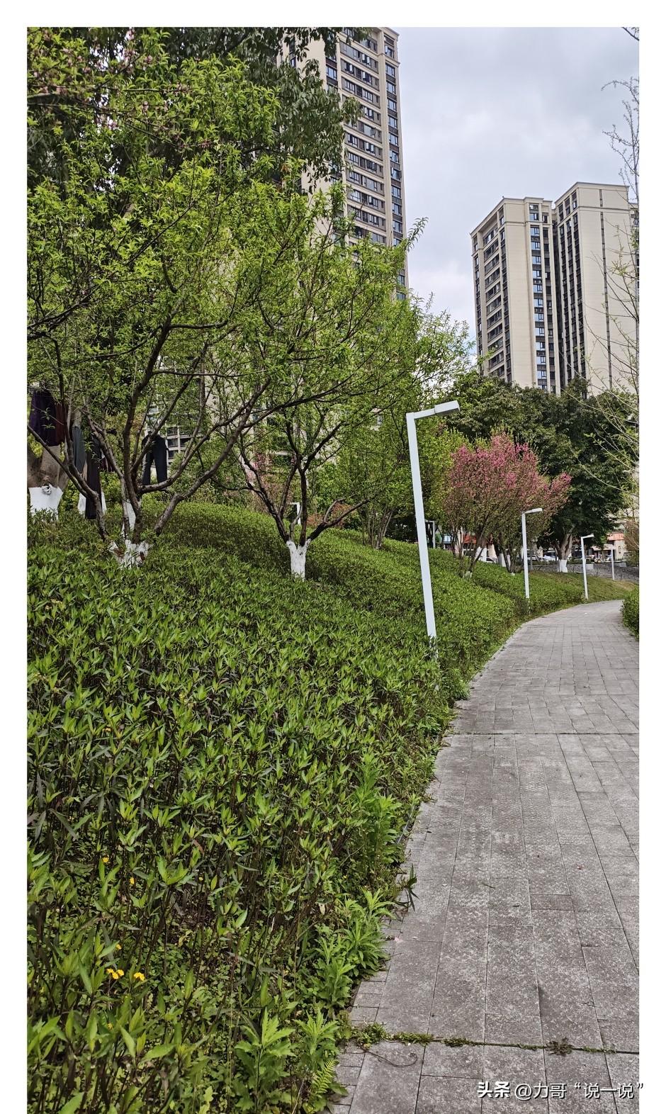 这样大晚上，不会吓死人吗[捂脸][捂脸]