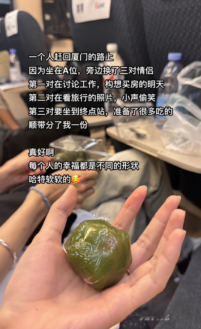 每个人的幸福都是不同的形状。