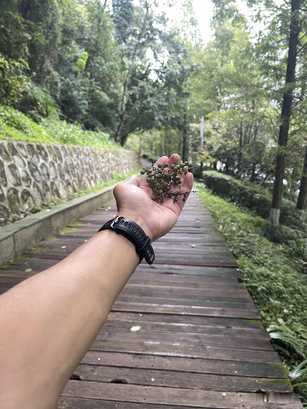 开启美好的一天
放下昨日的烦恼
小伙儿满血复活
带开心每一天 把烦心事放空 放下