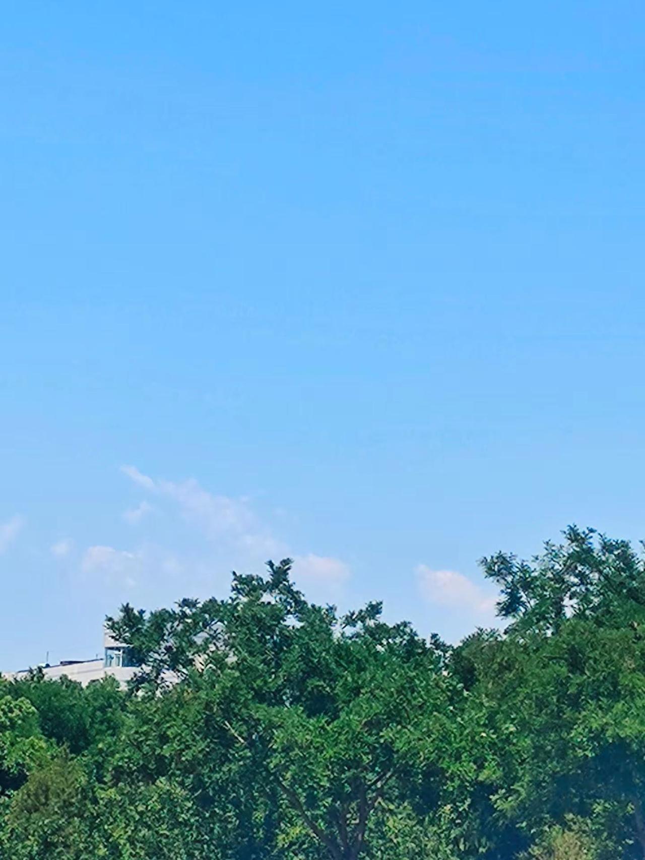 再次提笔写你 墨痕里早已浸满相思， 书页间藏着你文字的温度， 我于字里行间徘徊。