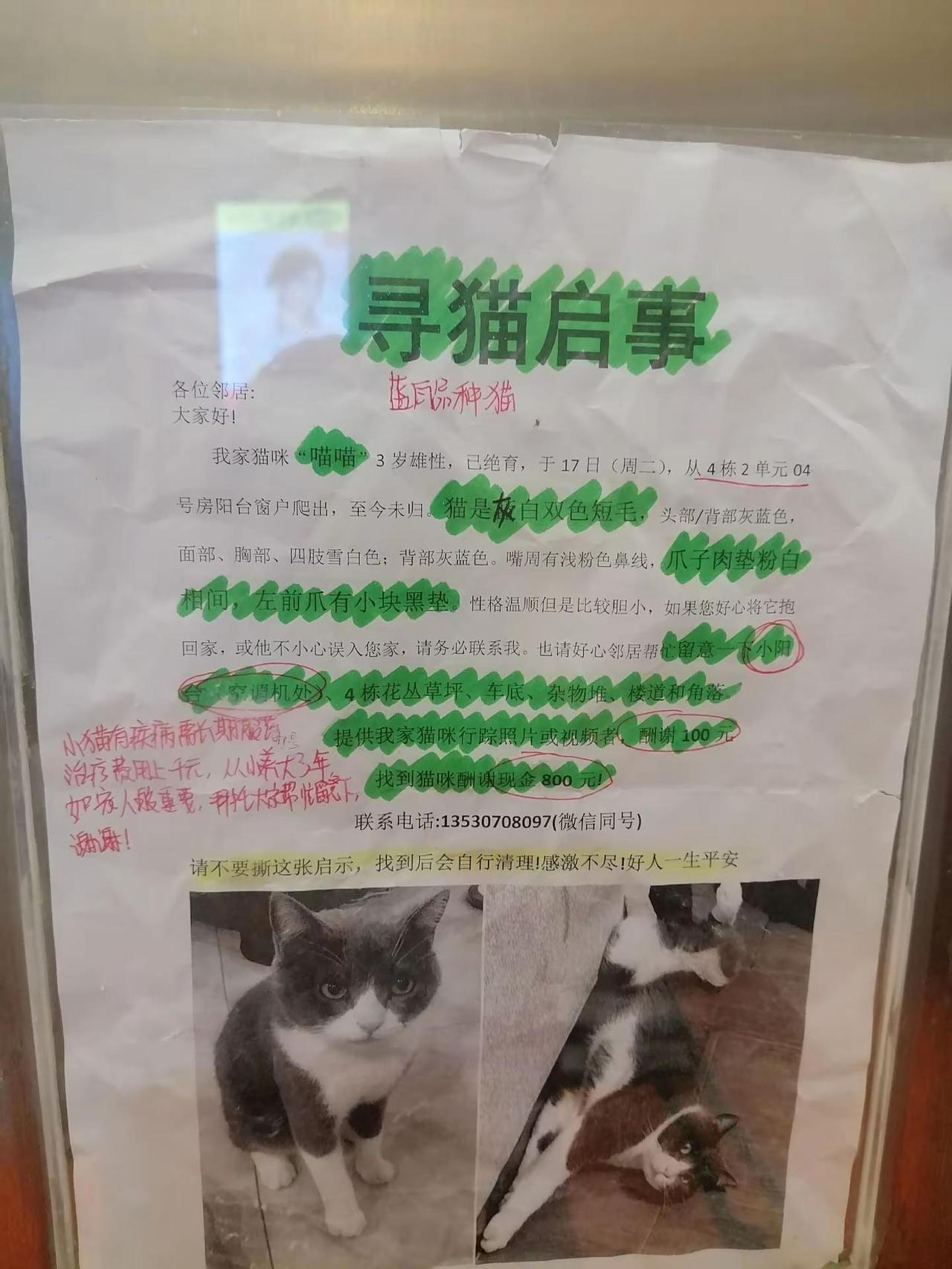 今天在一小区看到一个寻猫启示，我也发出来帮忙找一下！🦸