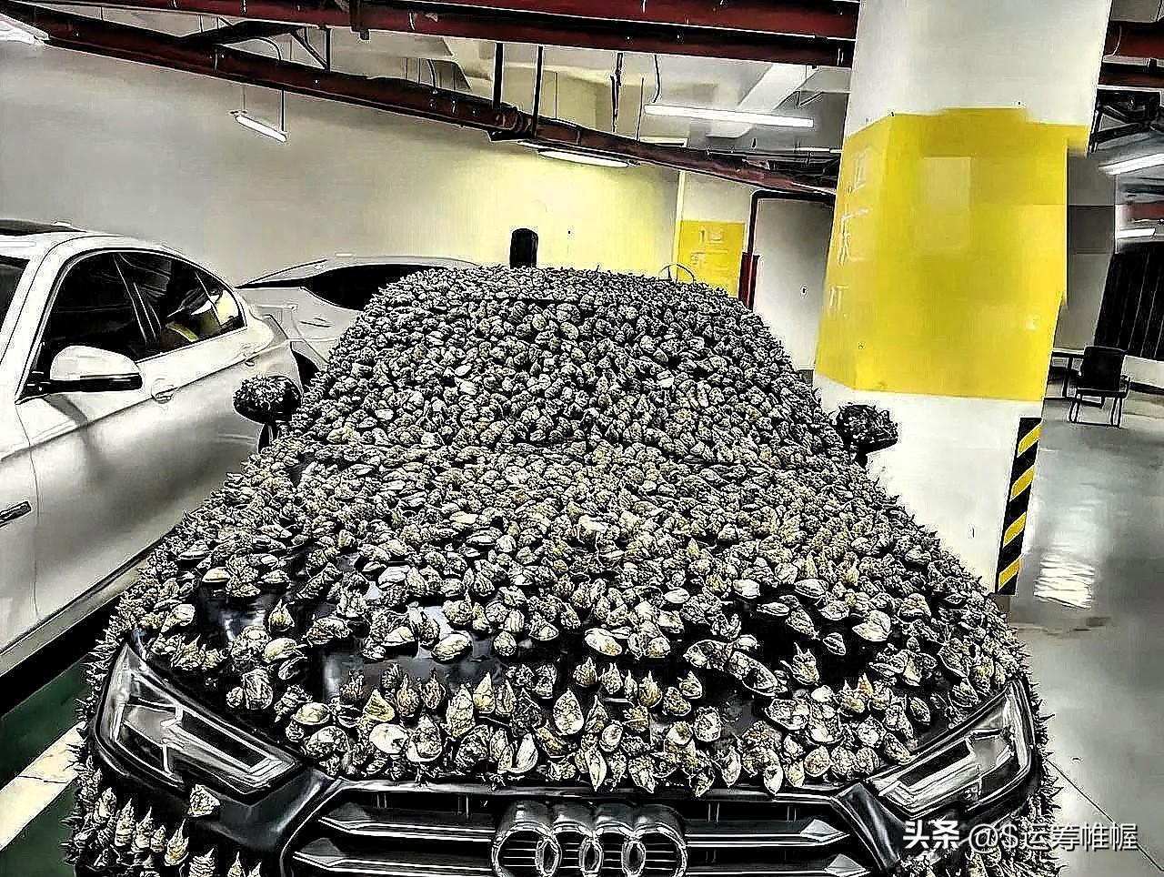 “一分钱不要，也得让你长记性！”业主车位被霸占10天，一怒之下做了这种事

江苏