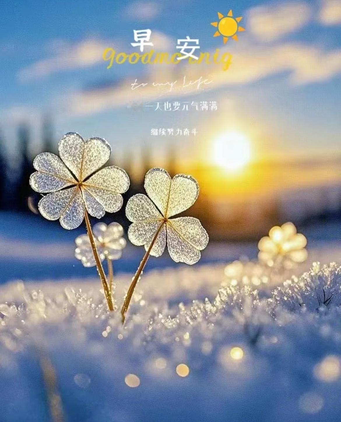 好运气从每个清晨开始，每天给自己一个微笑，要快乐要健康，其它都是浮云，新的一天，