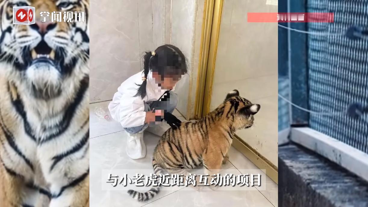 “心太大了！”8月30日，广西贵港，一位母亲为了让7岁的女儿体验野生动物，竟花钱