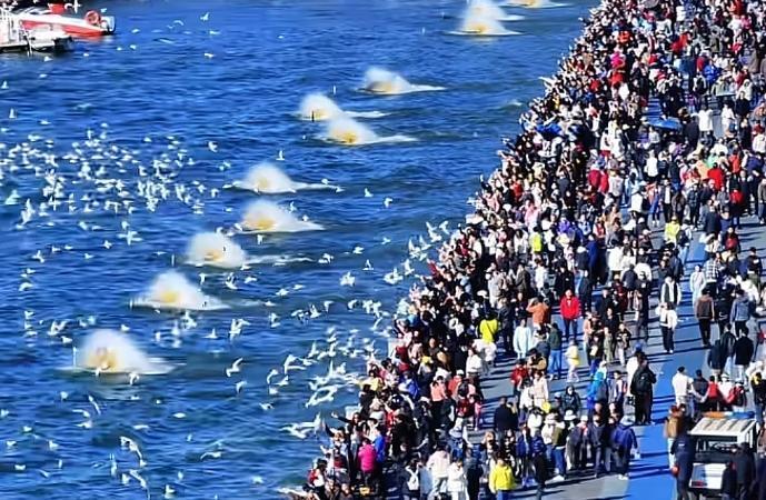 昆明夏无酷暑，冬无严寒，山水相依，风光绝美，真是老天爷赏饭吃的好地方。
可冬天一