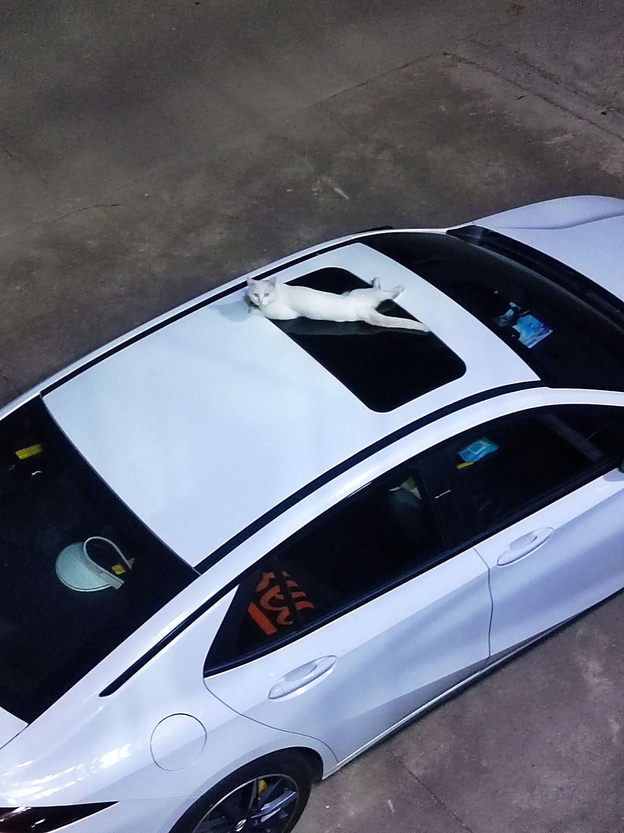 如何在视频上添加文字