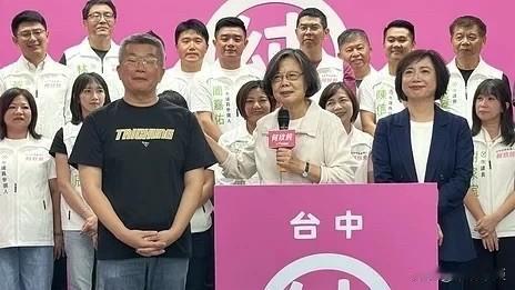 蔡英文今（8日）接任民进党台中市长参选人何欣纯竞选总部荣誉主委，蔡其昌担任何欣纯