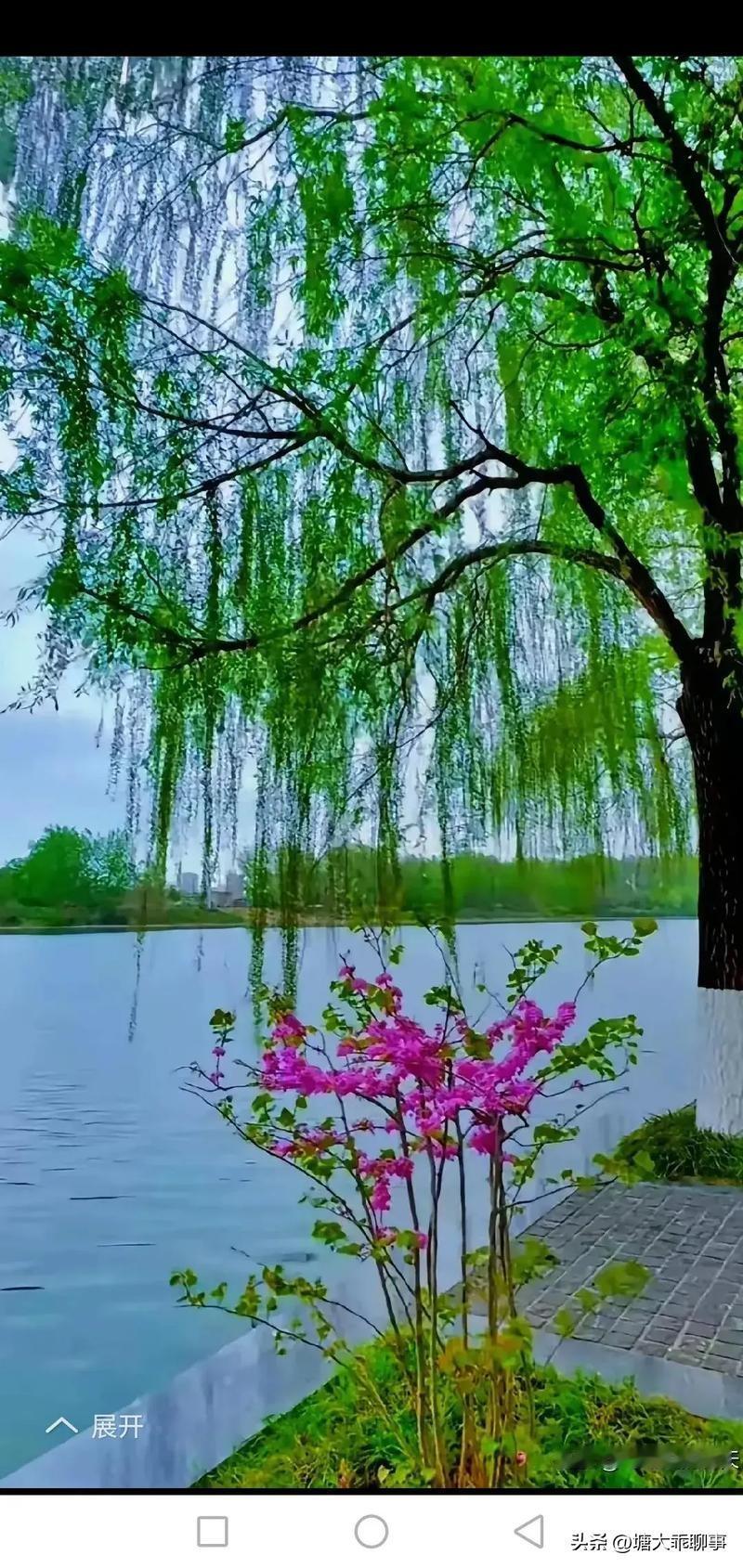 每天喝一杯咖啡,会上瘾吗?
会
我每天早上、中午各一杯咖啡
几十年了
不喝就像没