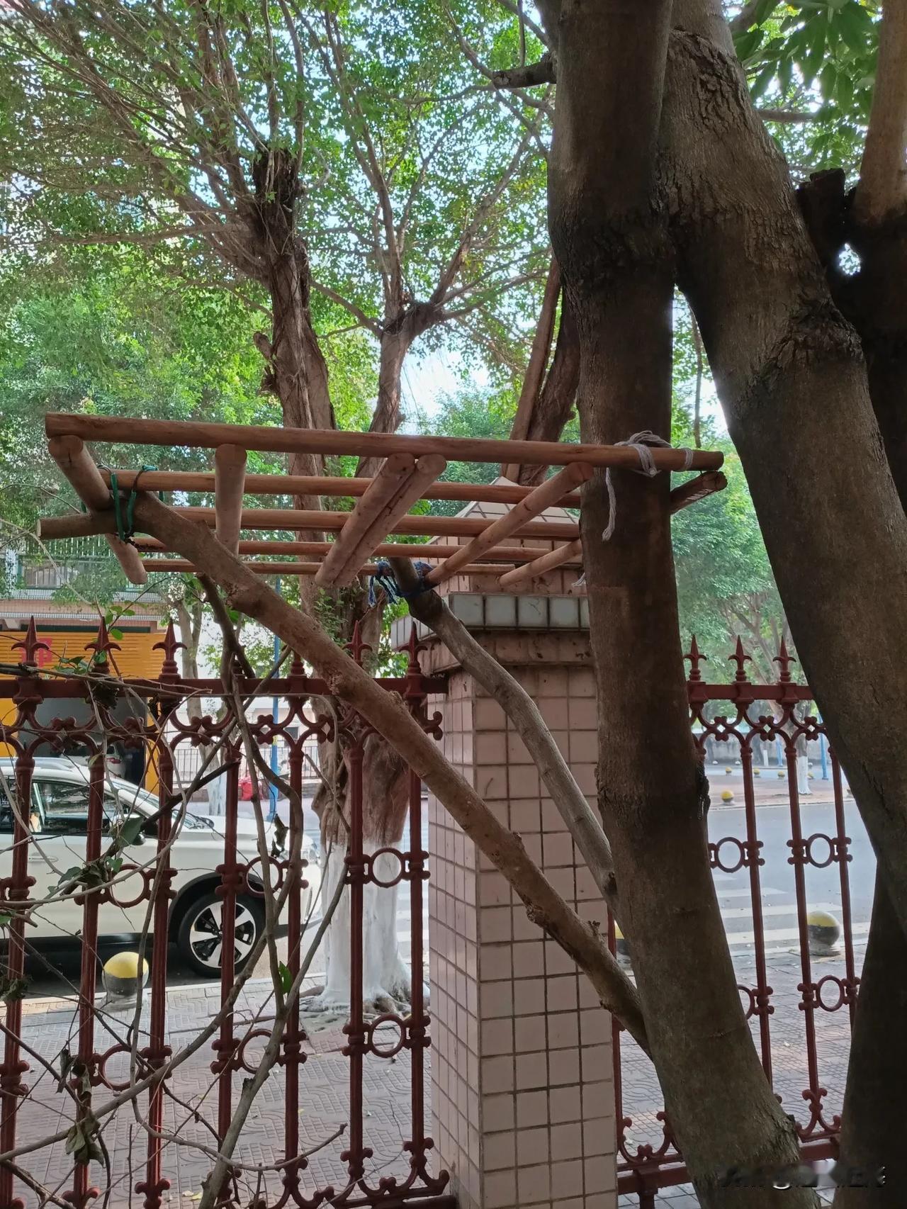 现在人穷到一只鸽子买不起了。今天等了一天，也等不到灰鸽子回来，不知道哪个穷到吃不