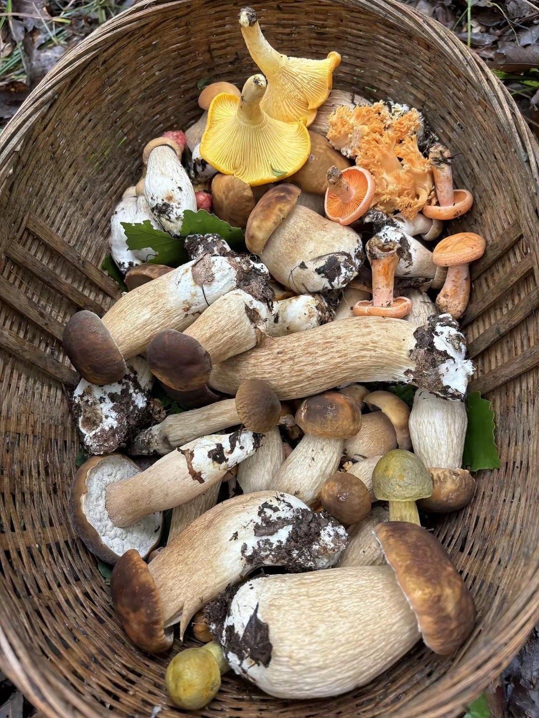 做A股的这两天小心，该涨不涨，必有一跌。按道理外围涨价会跟才对。别捡一堆毒蘑菇！