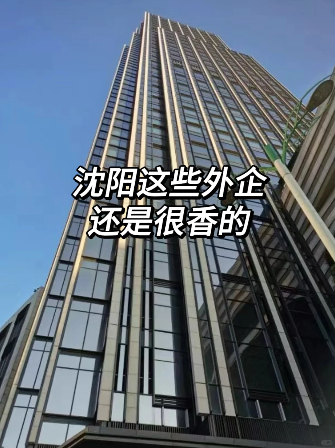 沈阳这些外企还是很香的