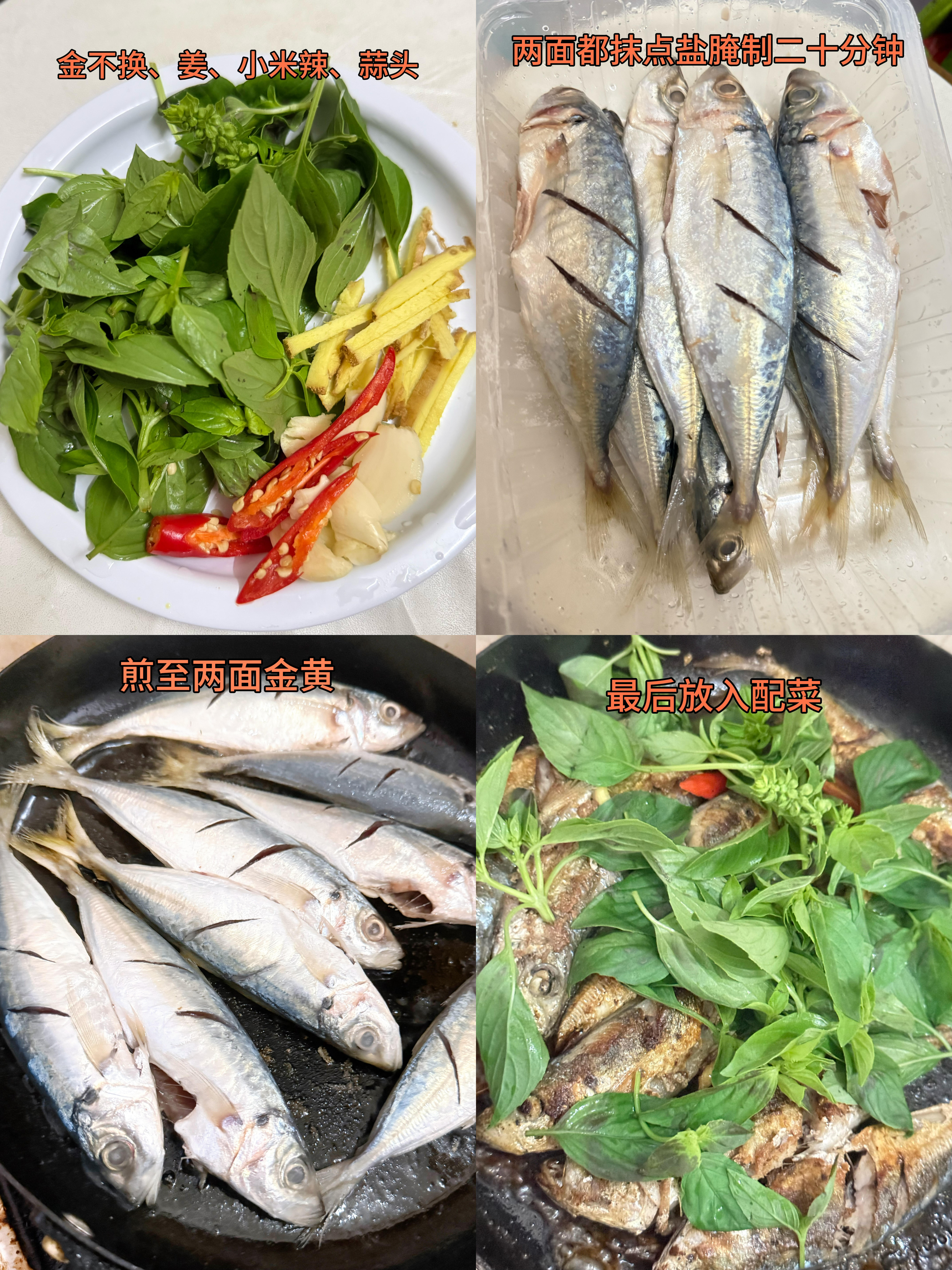 香煎巴浪鱼🐟食材准备：巴浪鱼、金不换（罗勒）、生姜、蒜头、小米辣、盐、生抽、少