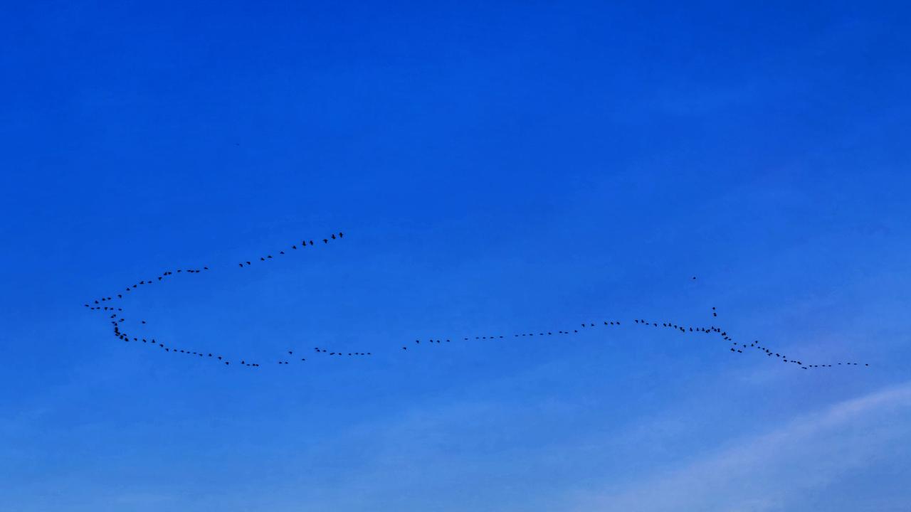可以分享一张你拍的天空美照吗鸭绿江边看到雁南飞，我想应该是抗美援朝战争中的英雄回