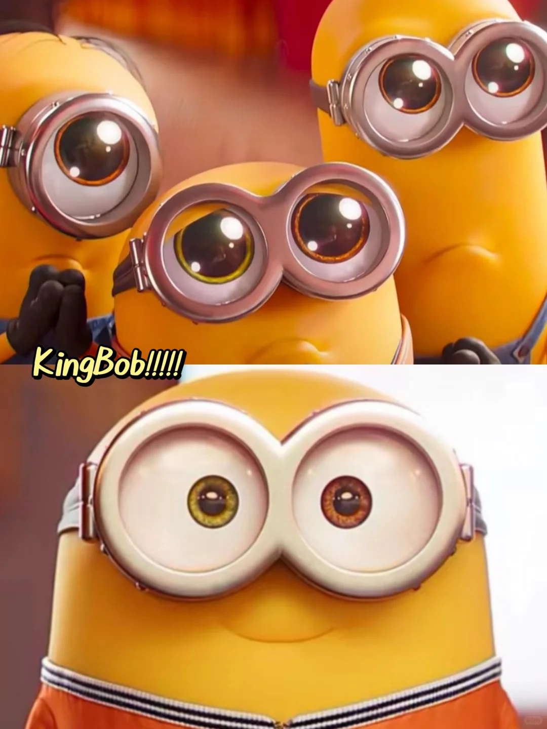 King Bob!!!!!!申请领养一只小黄人🥺