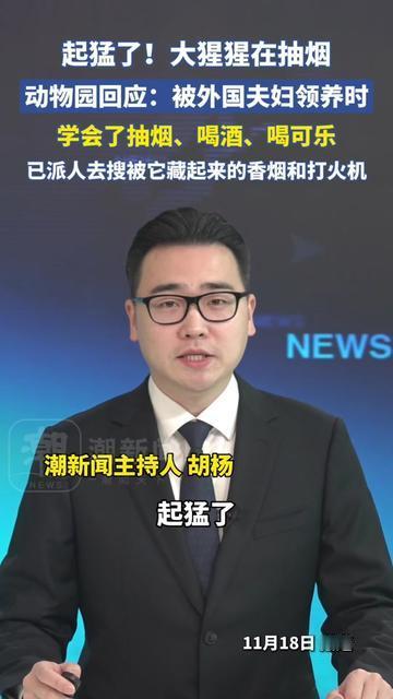 南宁动物园的大猩猩，这次火得我心里发闷！

哪是靠比心卖萌啊，明明是靠熟练叼