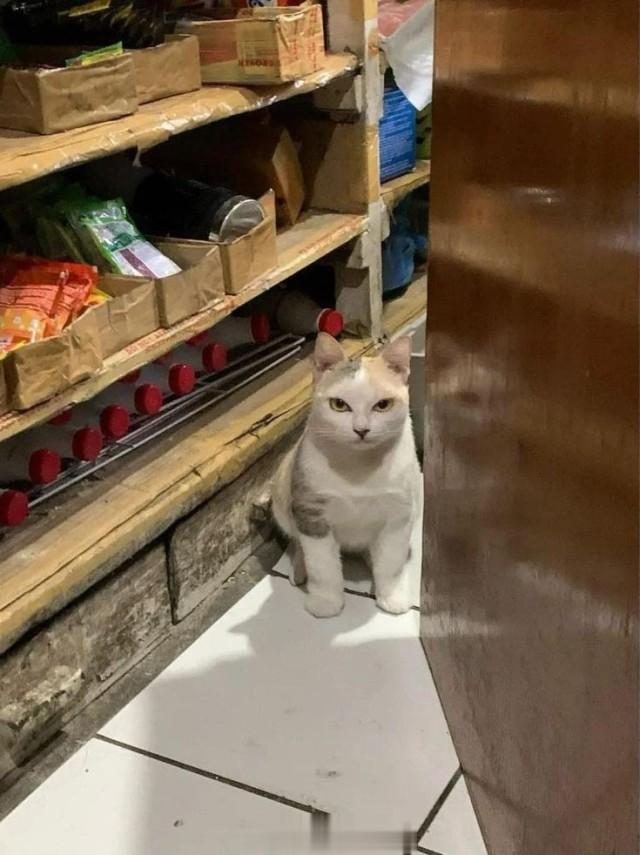 分享图片 ​​​