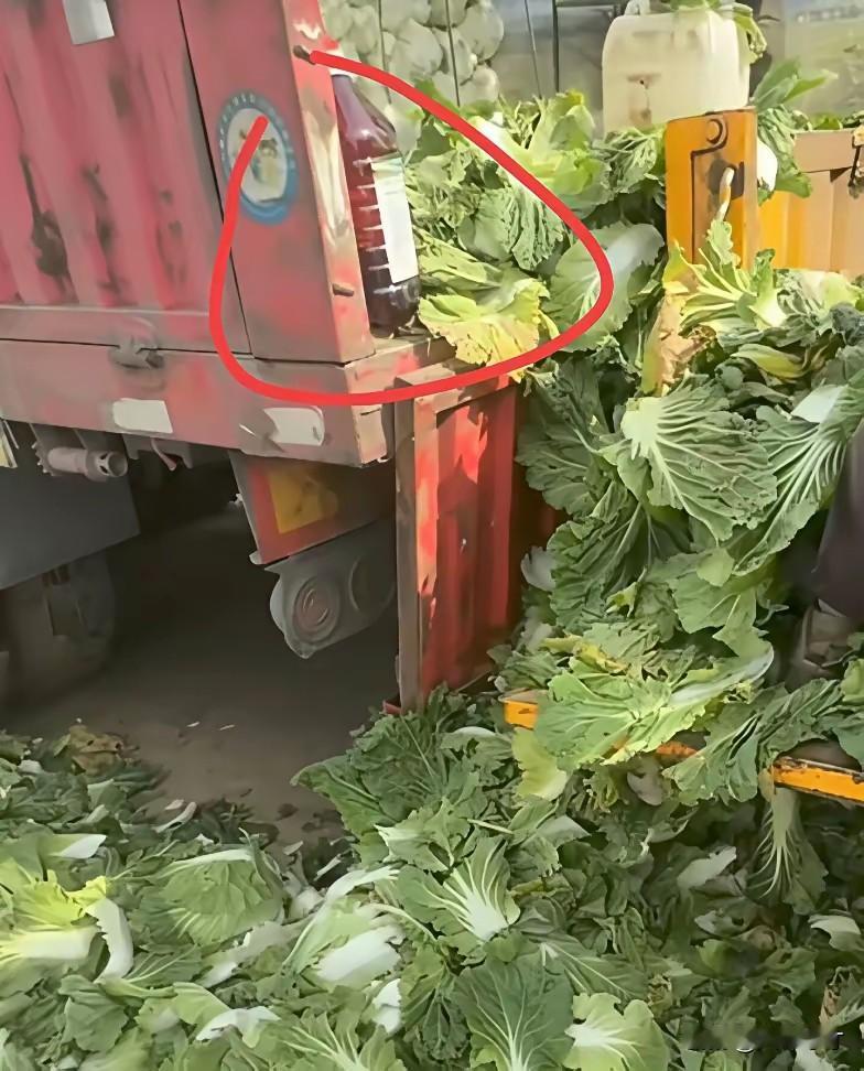 甲醛白菜不可怕，可怕就是食品安全咋管的，菜农是无辜的！

俗话说得好：民以食为天