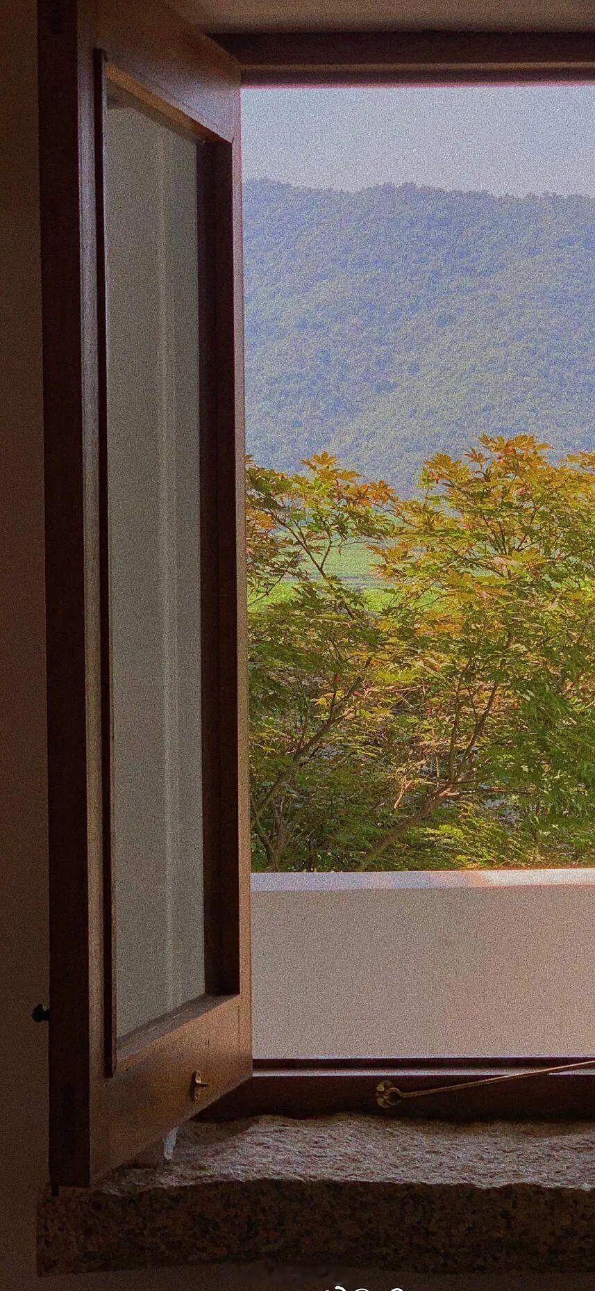 爱是剥开所有伪装后，依然愿意拥抱彼此的狼狈。——《许我耀眼》