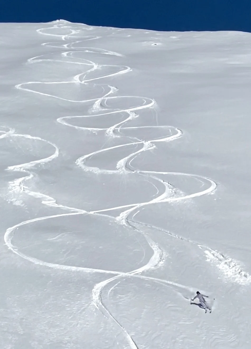 🦋live｜在禾木滑过最好的野雪