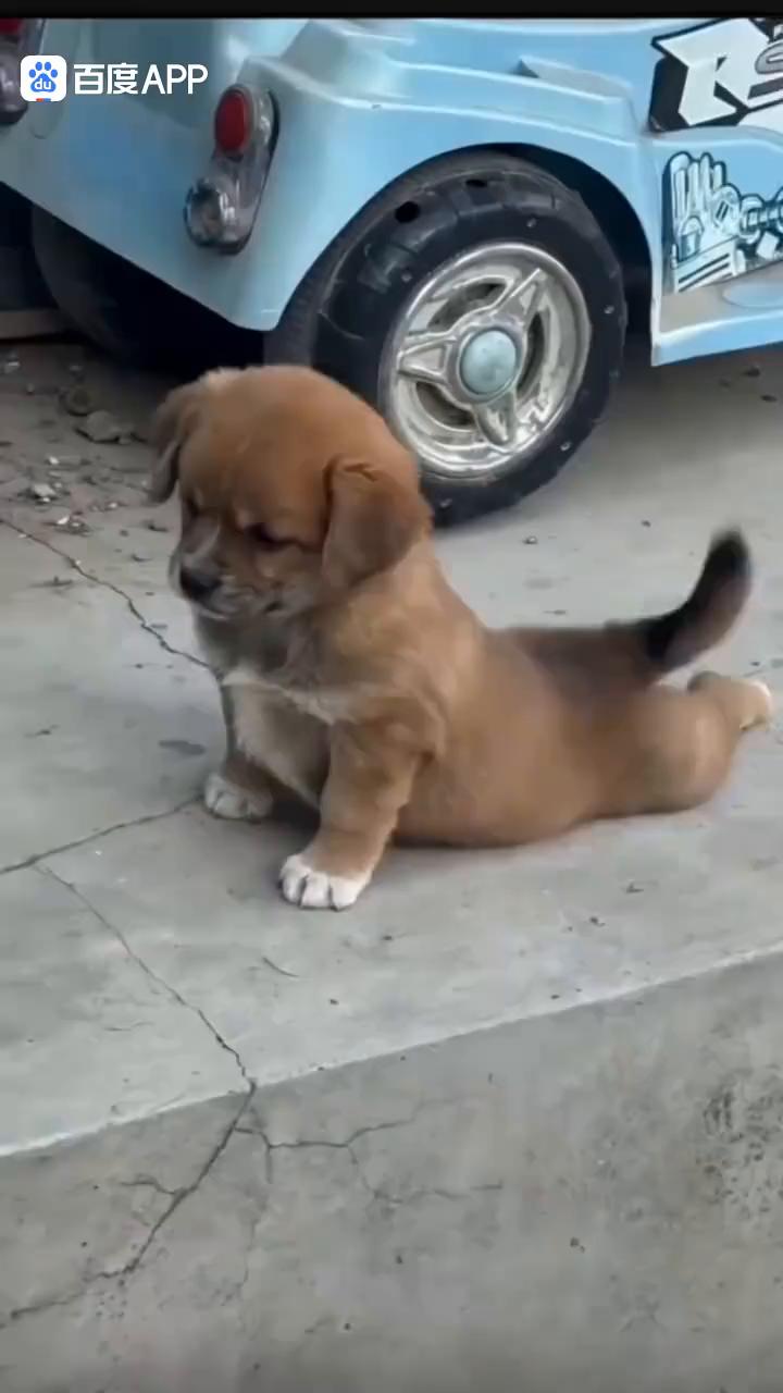 哎呦我的妈，哈哈。